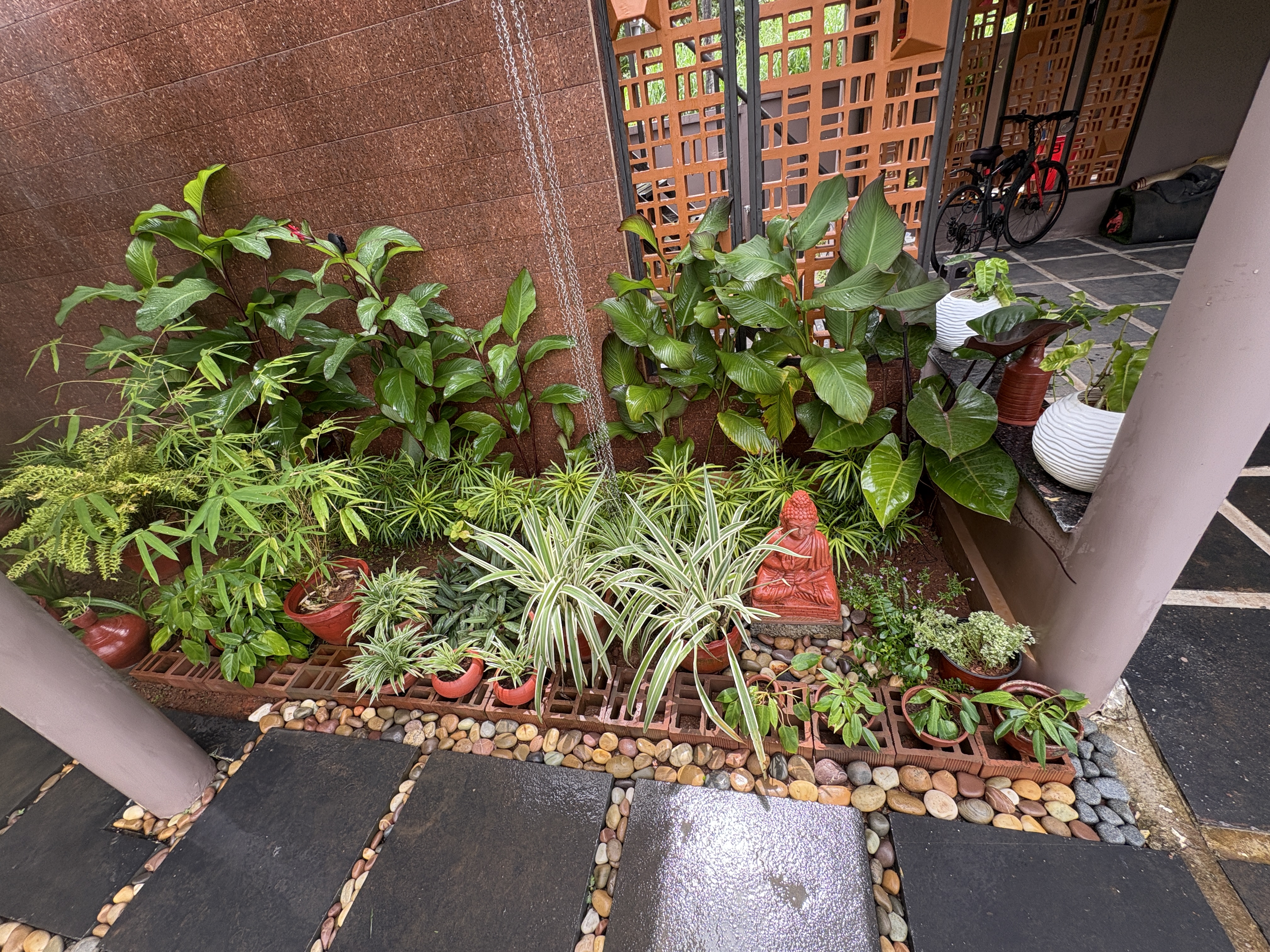 Garden plants at Gowreesham